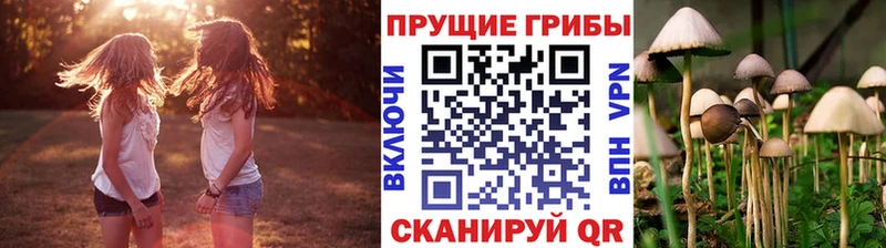 Псилоцибиновые грибы MAGIC MUSHROOMS  Купить где  Приморско-Ахтарск 